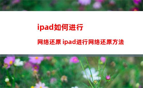 ipad如何进行网络还原 ipad进行网络还原方法