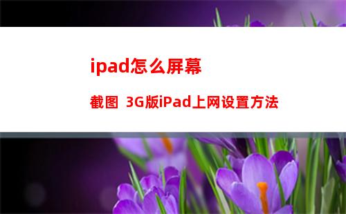 ipad怎么屏幕截图  3G版iPad上网设置方法