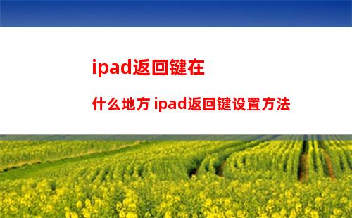 ipad返回键在什么地方 ipad返回键设置方法