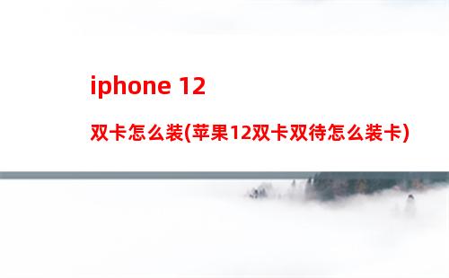 iphone 12 双卡怎么装(苹果12双卡双待怎么装卡)