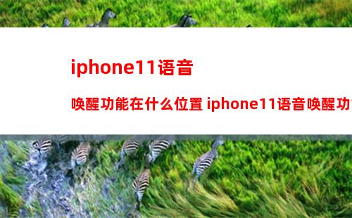 升级iOS16.4后无法正常使用Siri怎么办 iOS16.4无法正常使用Siri解决方法