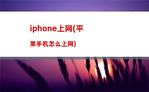 iphone上网(平果手机怎么上网)