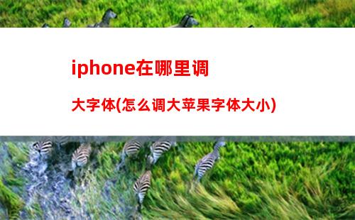 iphone手机清理大师(苹果手机清理大师好用吗)