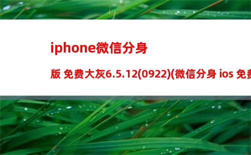 iphone微信分身版 免费大灰6.5.12(0922)(微信分身 ios 免费)