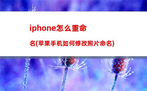 iphone怎么重命名(苹果手机如何修改照片命名)