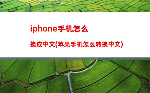 iphone手机怎么换成中文(苹果手机怎么转换中文)