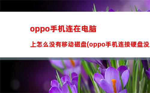 000以内小米性价比最高的手机(2000元左右性价比高的小米手机最新排行)"