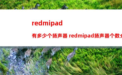 redmipad有多少个扬声器 redmipad扬声器个数介绍