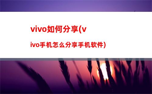 vivo如何分享(vivo手机怎么分享手机软件)