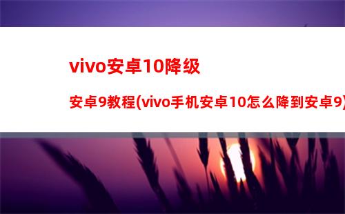 vivo安卓10降级安卓9教程(vivo手机安卓10怎么降到安卓9)