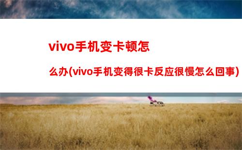 vivo手机变卡顿怎么办(vivo手机变得很卡反应很慢怎么回事)