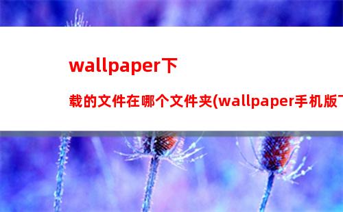 wallpaper下载的文件在哪个文件夹(wallpaper手机版下载的文件在哪)_1