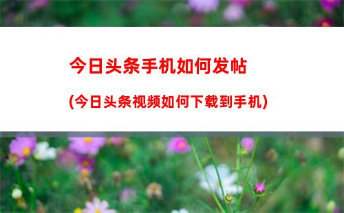 手机如何更改邮箱密码：手机如何更改位置信息