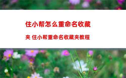 夸克网盘如何下载磁力链接 夸克网盘下载磁力链接的方法