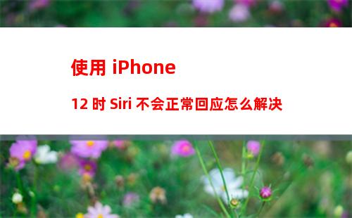 iPhone怎么查看APP使用流量 iPhone查看APP使用流量的方法