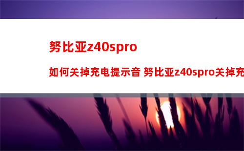 鸿蒙系统显示恶意软件安装不了怎么办 鸿蒙系统显示恶意软件安装不了解决方法