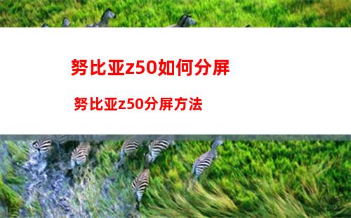 “我的照片流”功能即将关闭，怎么保留 iPhone 中的照片