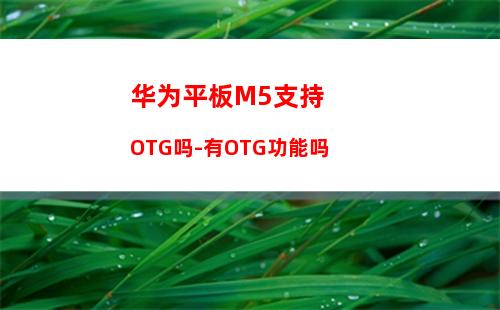 华为平板M5支持OTG吗-有OTG功能吗