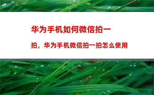 华为手机如何微信拍一拍，华为手机微信拍一拍怎么使用