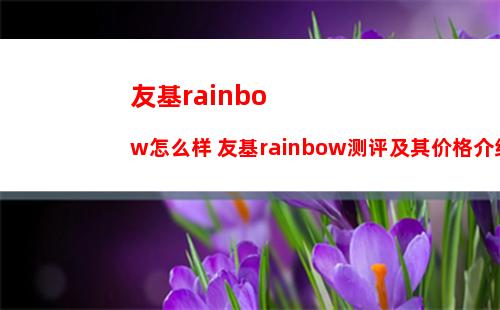 友基rainbow怎么样 友基rainbow测评及其价格介绍