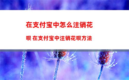 铁路12306手机号如何解绑 铁路12306手机号解绑方法