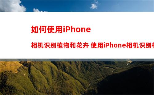 苹果14pro怎么更改锁屏密码 iphone14pro更改锁屏密码方法