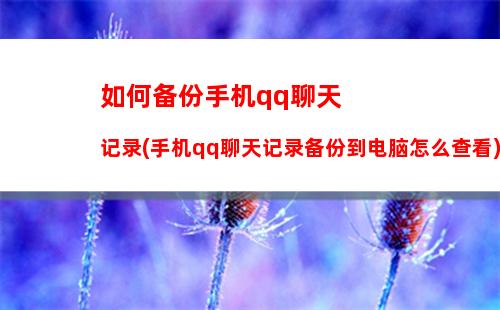 如何备份手机qq聊天记录(手机qq聊天记录备份到电脑怎么查看)