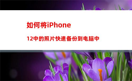 如何在 iPhone 上手写表情 在 iPhone 上手写表情方法