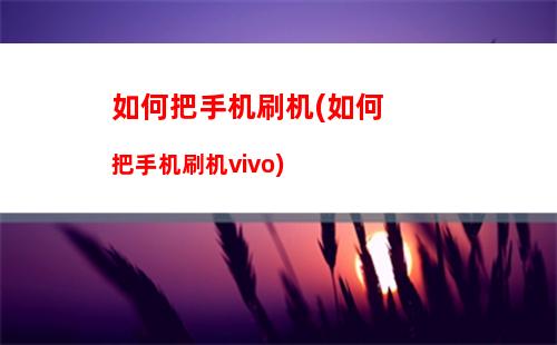 如何把手机刷机(如何把手机刷机vivo)