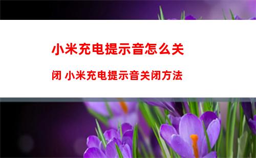 vivox60pro怎么设置全屏拍照 vivox60pro设置全屏拍照方法【教程】