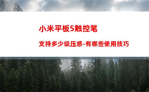 小米平板5触控笔支持多少级压感-有哪些使用技巧