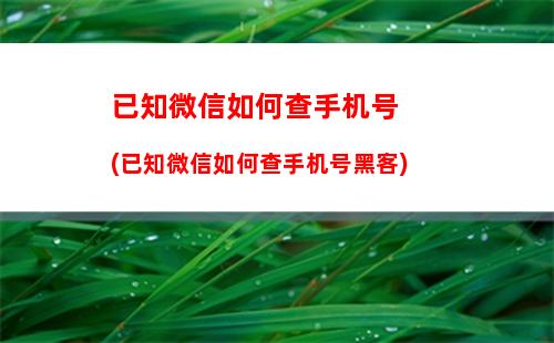 已知微信如何查手机号(已知微信如何查手机号黑客)