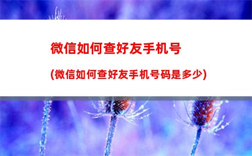 手机遗失在车上如何找(手机遗失在车上可以怎么求助)