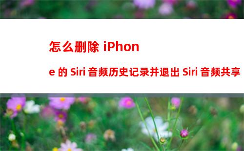 iPhone 12怎么定时发短信 iPhone 12定时发短信方法