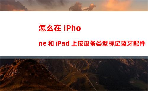 怎么在 iPhone 和 iPad 上按设备类型标记蓝牙配件