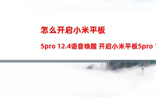 怎么开启小米平板5pro 12.4语音唤醒 开启小米平板5pro 12.4语音唤醒方法