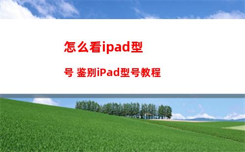 怎么看ipad型号 鉴别iPad型号教程