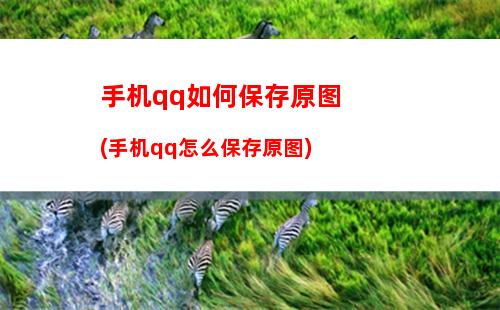 手机qq如何保存原图(手机qq怎么保存原图)