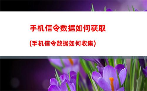 手机信令数据如何获取(手机信令数据如何收集)