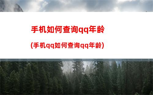 手机如何查询qq年龄(手机qq如何查询qq年龄)