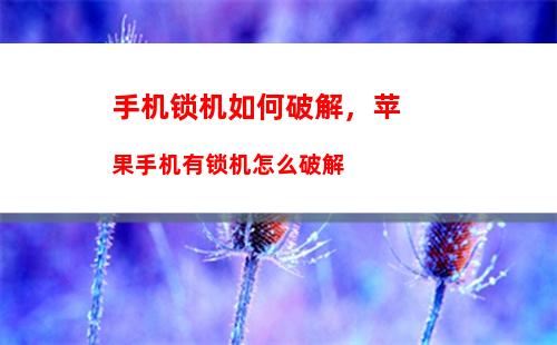 手机如何连接电脑网络：手机如何连接电脑网络上网设置