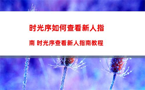 笔记本如何使用手机流量上网(笔记本连手机流量消耗大吗)