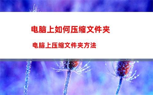 vivo手机一键换机二维码在哪 vivos16一键换机生成二维码的技巧