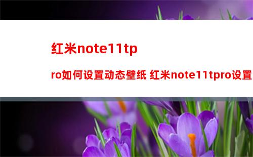 iqoo9pro和iqoo8Pro有什么不同 iqoo9pro和iqoo8Pro对比介绍