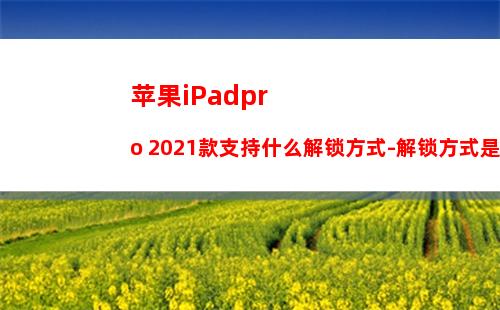 苹果iPadpro 2021款支持什么解锁方式-解锁方式是什么