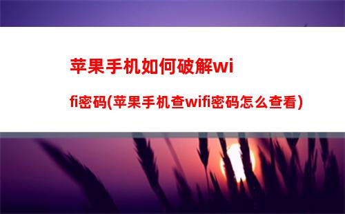 苹果手机如何破解wifi密码(苹果手机查wifi密码怎么查看)