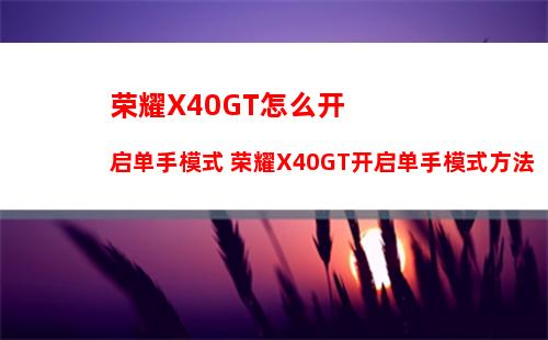 iqoo neo怎么设置动态壁纸 iqoo neo动态壁纸设置方法