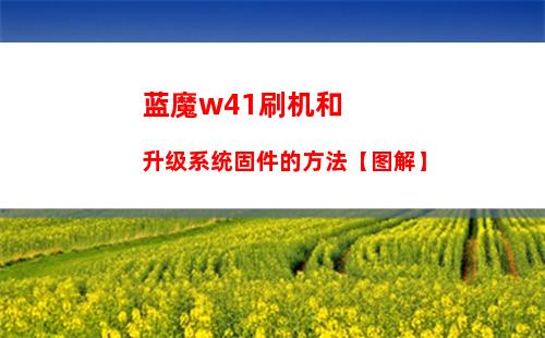 蓝魔w41刷机和升级系统固件的方法【图解】