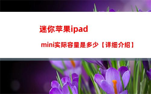 迷你苹果ipad mini实际容量是多少【详细介绍】