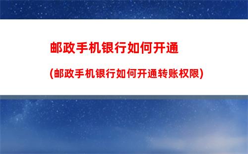 网上如何手机充值(网上手机充值怎么开发票)